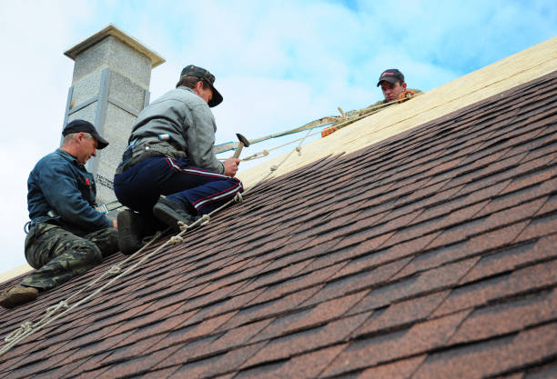 Best Storm Damage Roof Repair  in Bellville, TX